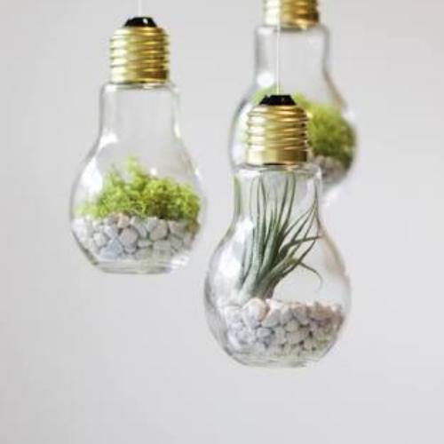 สมาชิกหมายเลข 4998241