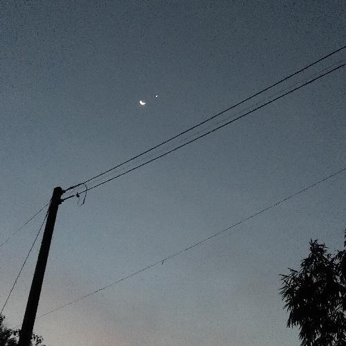 สมาชิกหมายเลข 5036405