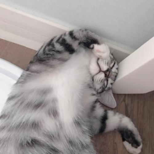 สมาชิกหมายเลข 3429813