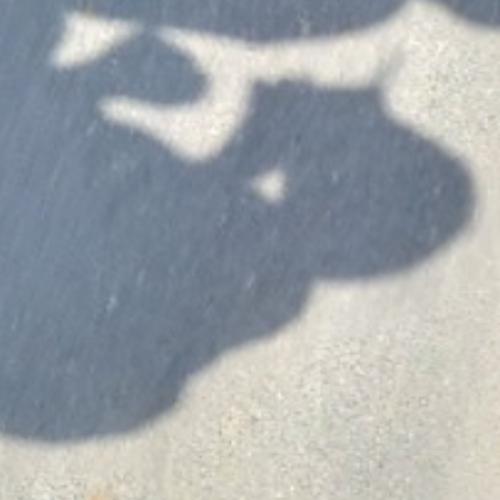 สมาชิกหมายเลข 5946049