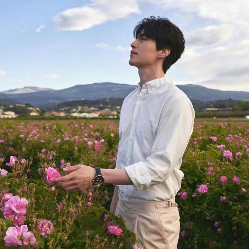 สมาชิกหมายเลข 4799546