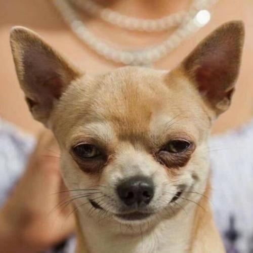 สมาชิกหมายเลข 4864819