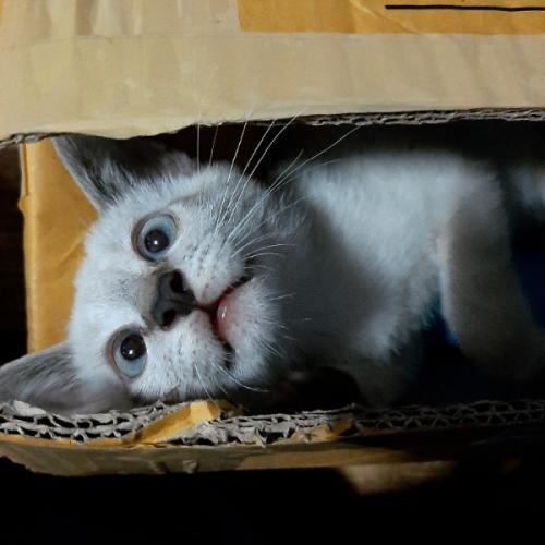 สมาชิกหมายเลข 5740495