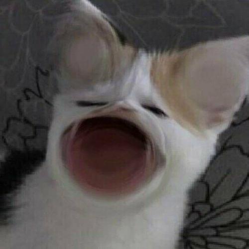 สมาชิกหมายเลข 6550571