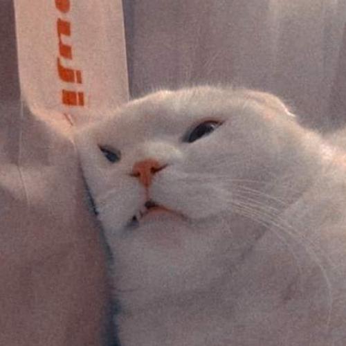 สมาชิกหมายเลข 6550953