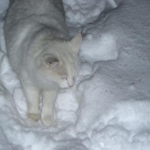 สมาชิกหมายเลข 6586585