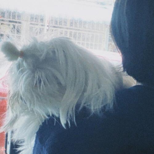 สมาชิกหมายเลข 8098395