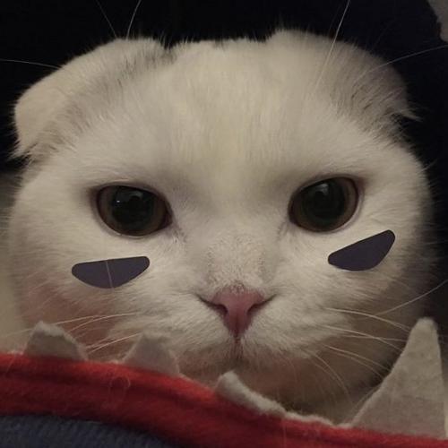 สมาชิกหมายเลข 2916320