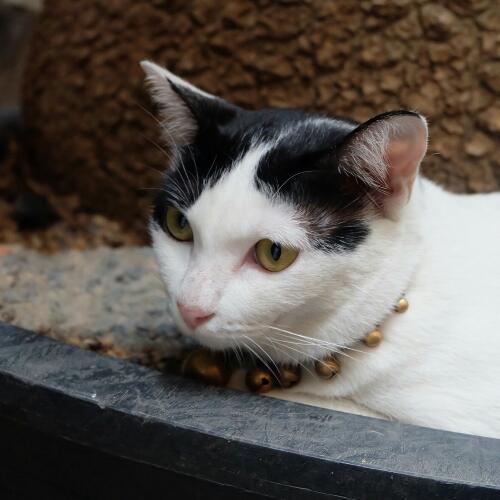 สมาชิกหมายเลข 4672034