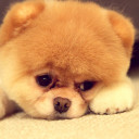 สมาชิกหมายเลข 4674181