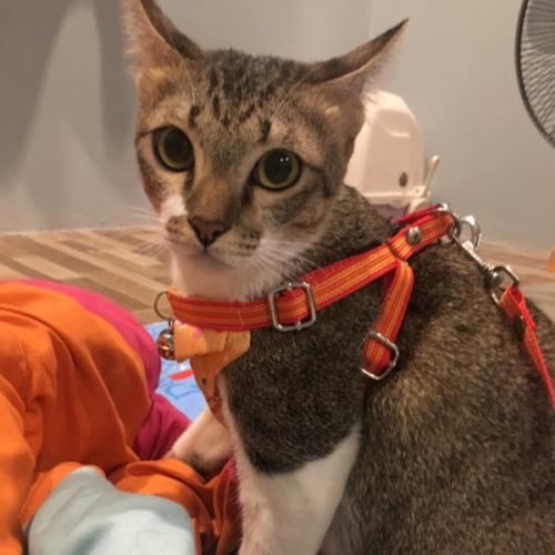 สมาชิกหมายเลข 4908198