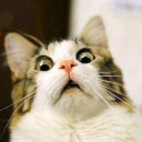 สมาชิกหมายเลข 5430195