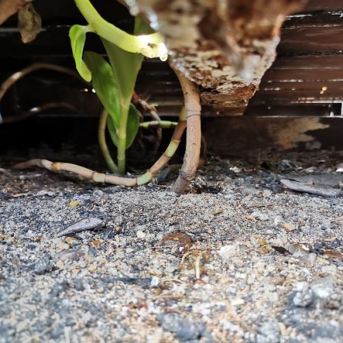 สมาชิกหมายเลข 1356887