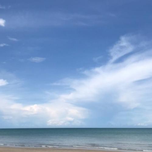 สมาชิกหมายเลข 4424154