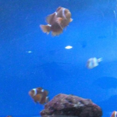 สมาชิกหมายเลข 6584990