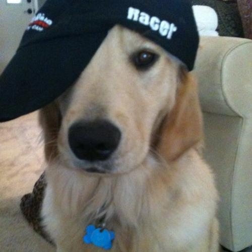 สมาชิกหมายเลข 6973371