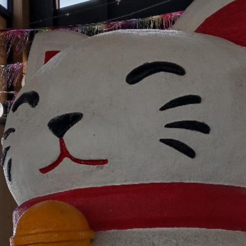 สมาชิกหมายเลข 9126355