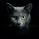 สมาชิกหมายเลข 3829441