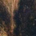 สมาชิกหมายเลข 4139053