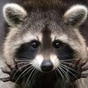 สมาชิกหมายเลข 4295824