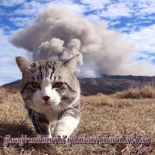 เชื่อในโชคชะตา