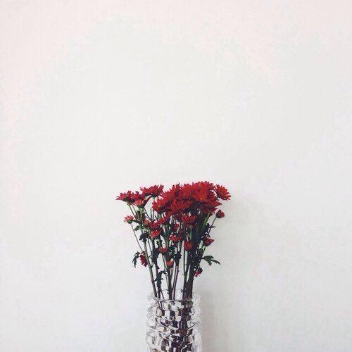 สมาชิกหมายเลข 4674492