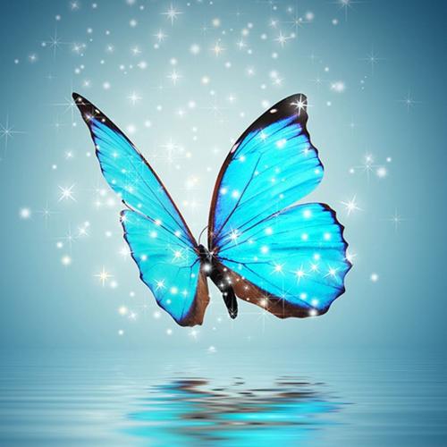 กล้วยปิ้ง น้ำกะทิไม่เอา