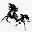 สมาชิกหมายเลข 5430574