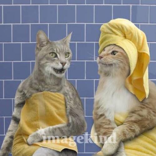 สมาชิกหมายเลข 1447285