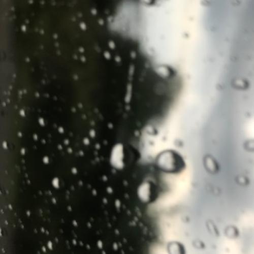 สมาชิกหมายเลข 4769289