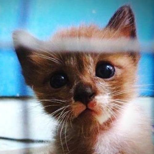 สมาชิกหมายเลข 812906