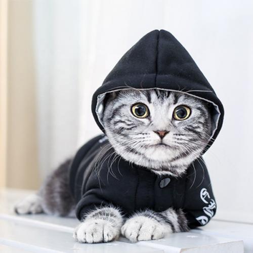 สมาชิกหมายเลข 5268273