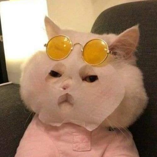 สมาชิกหมายเลข 6515983