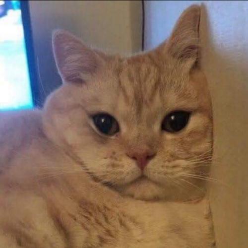 สมาชิกหมายเลข 7275092