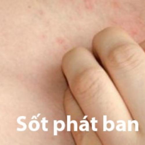 สมาชิกหมายเลข 7276929