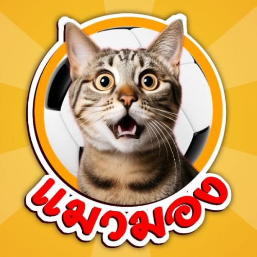 สมาชิกหมายเลข 8098295