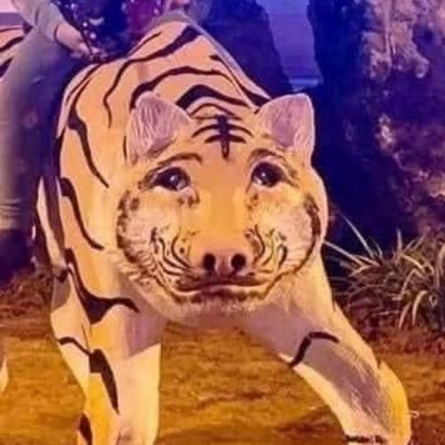 สมาชิกหมายเลข 8098661