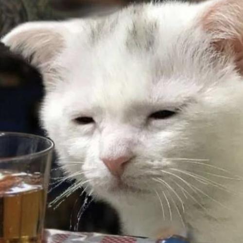 สมาชิกหมายเลข 8672710