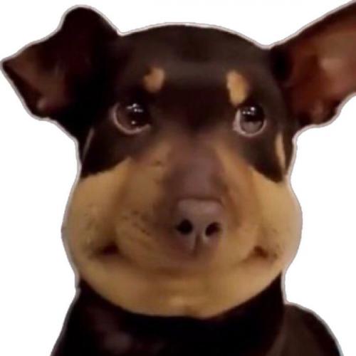 สมาชิกหมายเลข 9126960