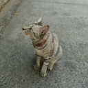 สมาชิกหมายเลข 3059502