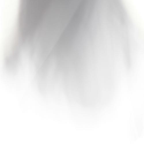 สมาชิกหมายเลข 2286674