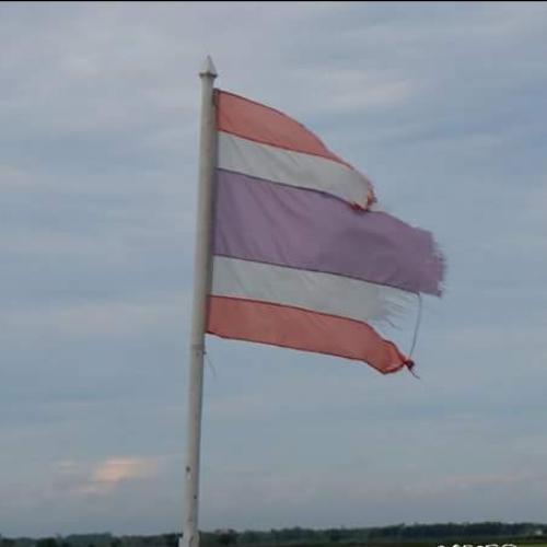 สมาชิกหมายเลข 4754354