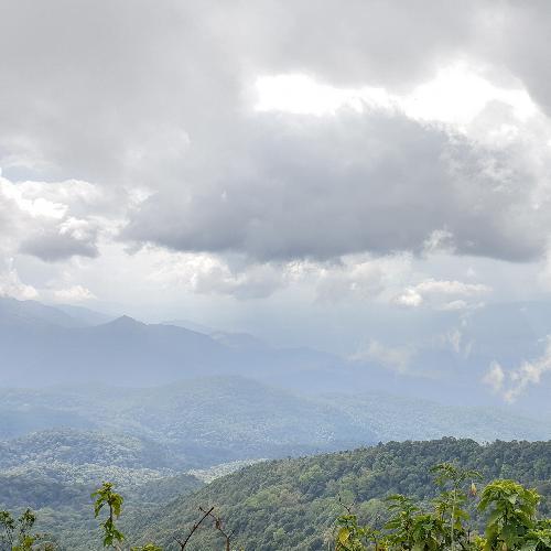 สมาชิกหมายเลข 5039118