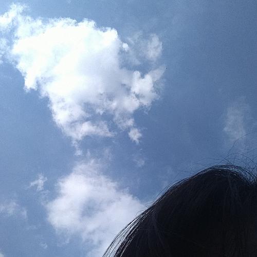 สมาชิกหมายเลข 5431408