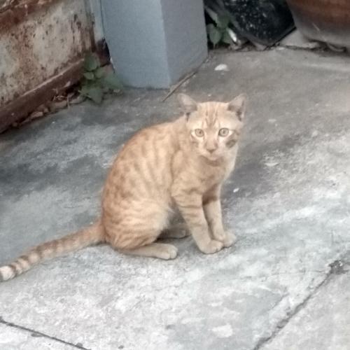 สมาชิกหมายเลข 4231277