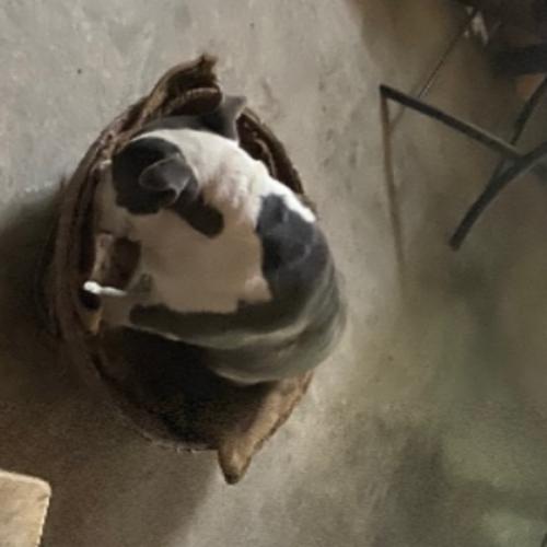 สมาชิกหมายเลข 5947767