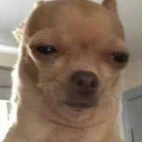 สมาชิกหมายเลข 5948088