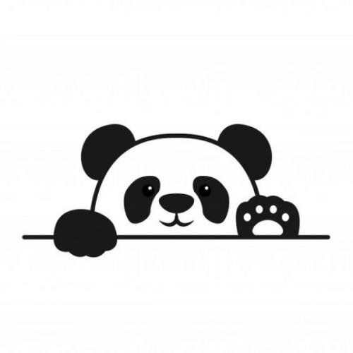 pandacute
