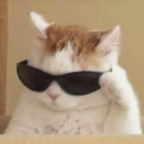 สมาชิกหมายเลข 3464816