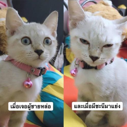 สมาชิกหมายเลข 3814156